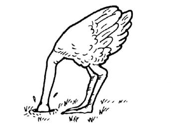 Страус прячет голову