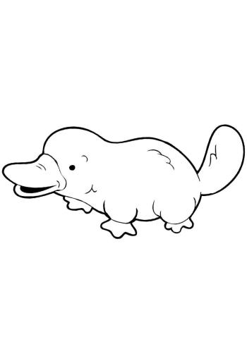 Маленький Утконос