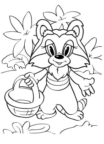 Енот в лесу