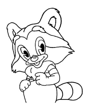 Картинка Енот