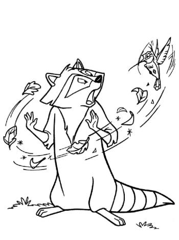 Енот и листья