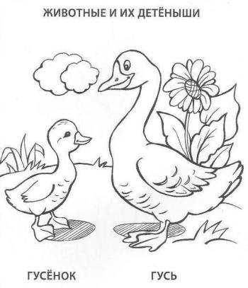Гусь и гусенок