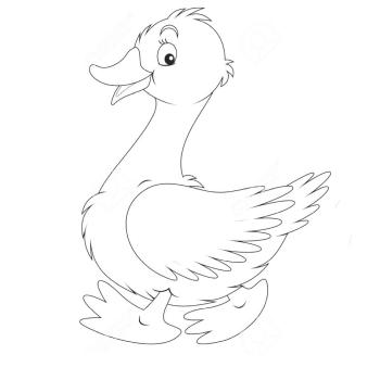 Раскраска Гусь