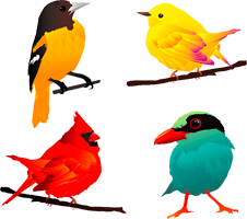 раскраски птицы